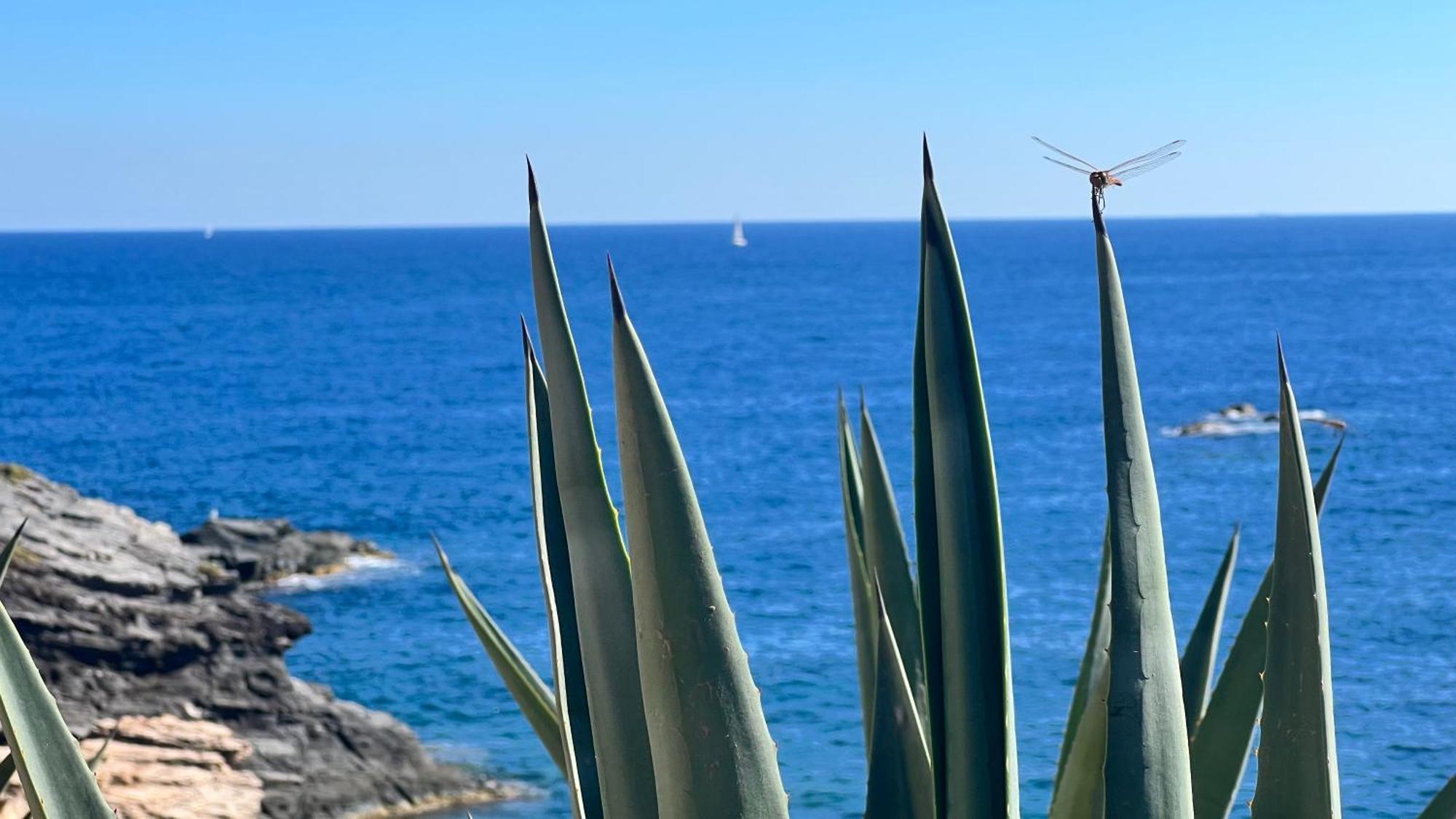 Punta Prima - Sun & Beach & Golf & Bike - Spanish South-Facing Terrace Apartment - La Recoleta - By The Sea Torrevieja Buitenkant foto