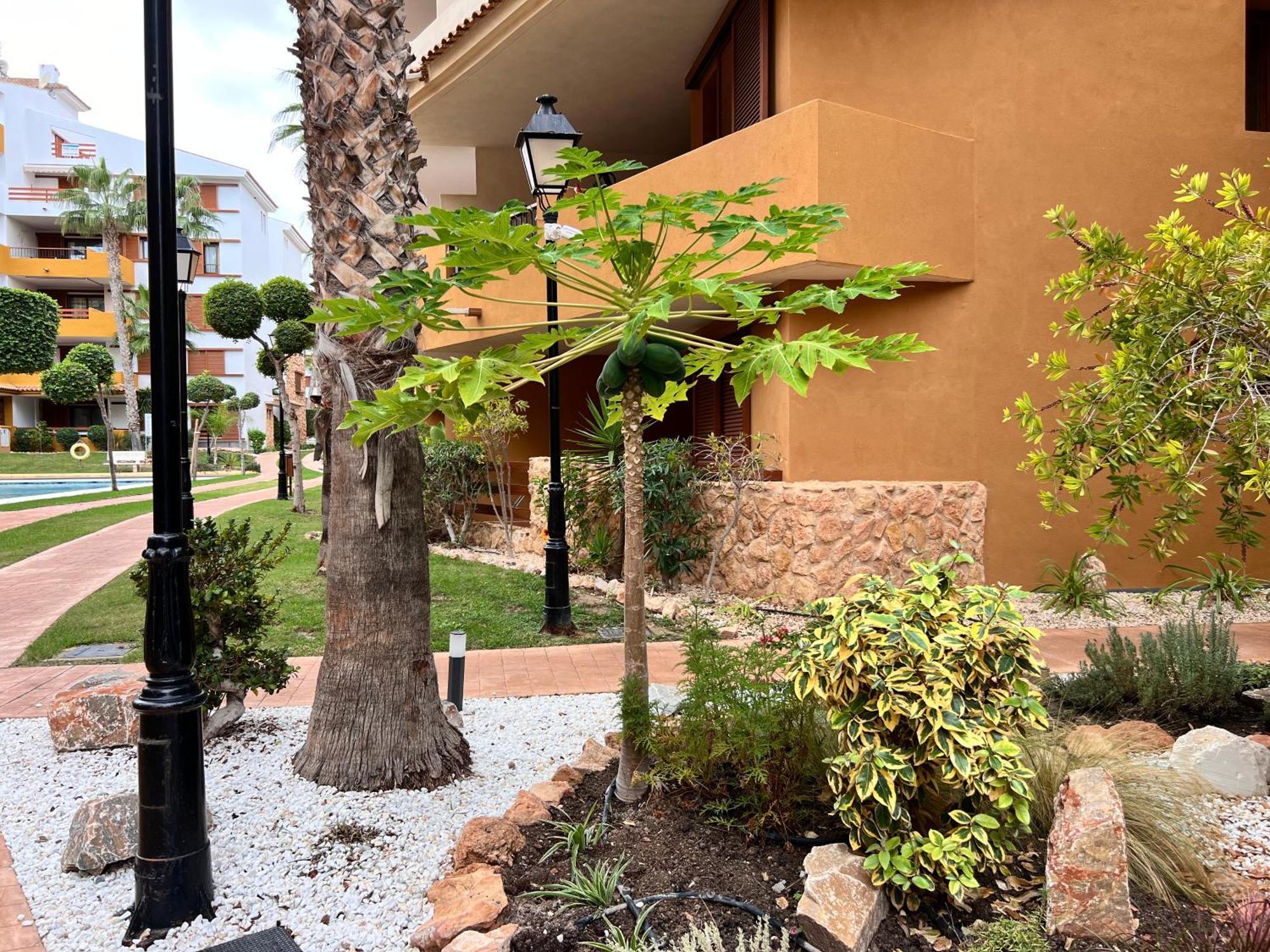Punta Prima - Sun & Beach & Golf & Bike - Spanish South-Facing Terrace Apartment - La Recoleta - By The Sea Torrevieja Buitenkant foto
